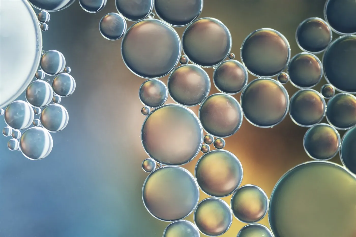Science / lab image